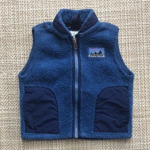 Patagonia Retro X Fleece Vest